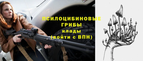 прущая мука Арсеньев