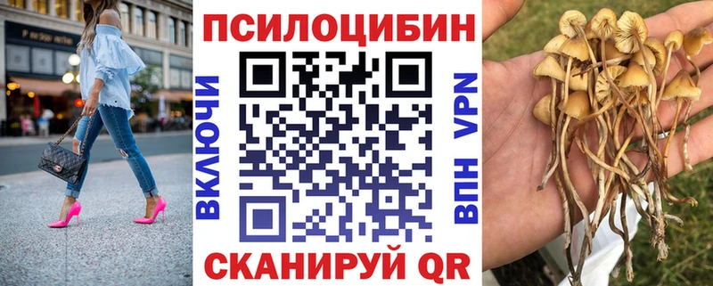 Купить закладки  Котельники  Псилоцибиновые грибы ЛСД 